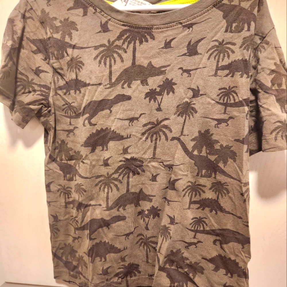 Dinosaur Print Kids T-Shirt - Brown